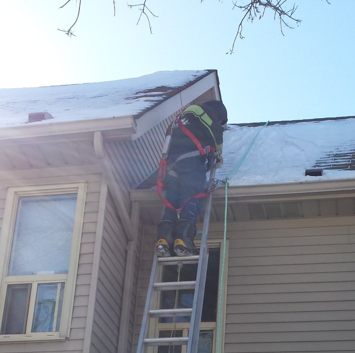 Image of Pest Control Technician in Safety Harness