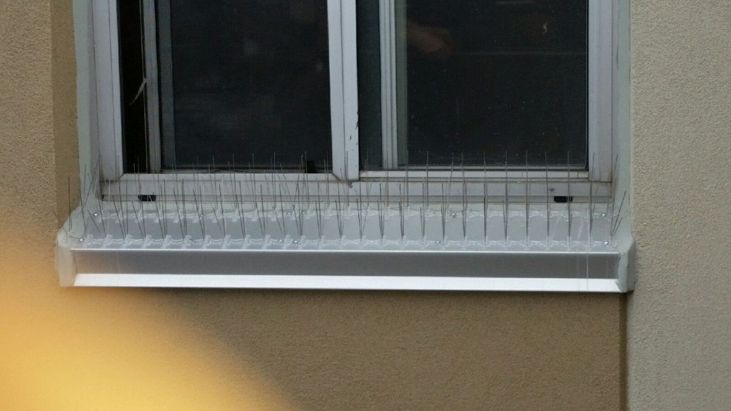Image of Pigeon Spikes On Window Sill